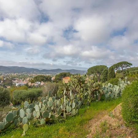 Berliat F2 N°16 Tatil Evi