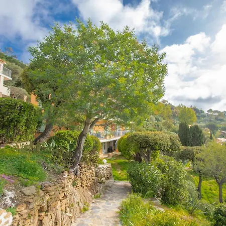 Berliat F2 N°16 Bormes-les-Mimosas